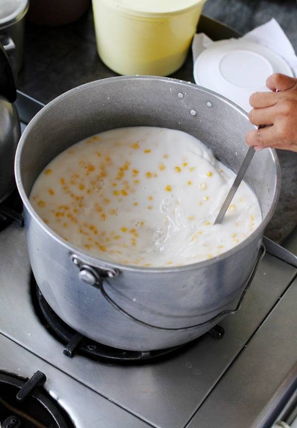 Maja in a pot.