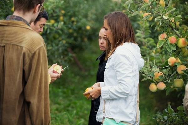 Learning about Opal Apples at an apple orchard.